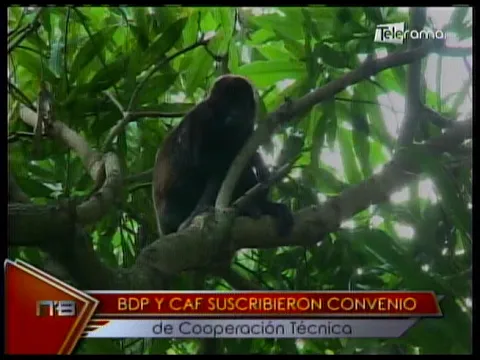 BDP y CAF suscribieron convenio de cooperación técnica