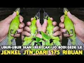 Download Lagu BEBAS PILIH LEVEL ! TERMURAH CAK IJO JTN DARI 175 RIBUAN BODI BIG DARI 250 RIBU PASAR BURUNG PRAMUKA Download Lagu BEBAS PILIH LEVEL ! TERMURAH CAK IJO JTN DARI 175 RIBUAN BODI BIG DARI 250 RIBU PASAR BURUNG PRAMUKA