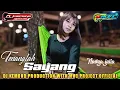 Download Lagu Dj Tenanglah Sayang By Kemond Production With MVC Project