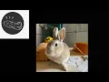 W hotel 自助餐  怎麼可以吃兔兔🐇 兔兔那麼可愛🐇
