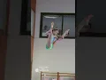 Download Lagu WOW see the trick of this power girl in slowmotion....