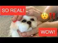 Ultra Realistic Puppy Reborn Puppy Etsy Art Doll Lifelike Dog Tiny Teacup Shih Tzu Puppy Unboxing