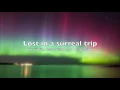 Joey Roukens : Lost in a Surreal Trip (2014) excerpt