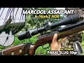 Lagu TES HUNTING MARCOOL ASSAILANT 4-16X42 AOE 