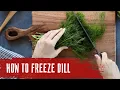 Keep Your Dill Fresh Freezing Tips