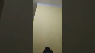 bigo live ml suami istri d3sah bigo live liveinstagram ml desahogo