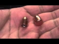 Bullet Basics Ammo 101
