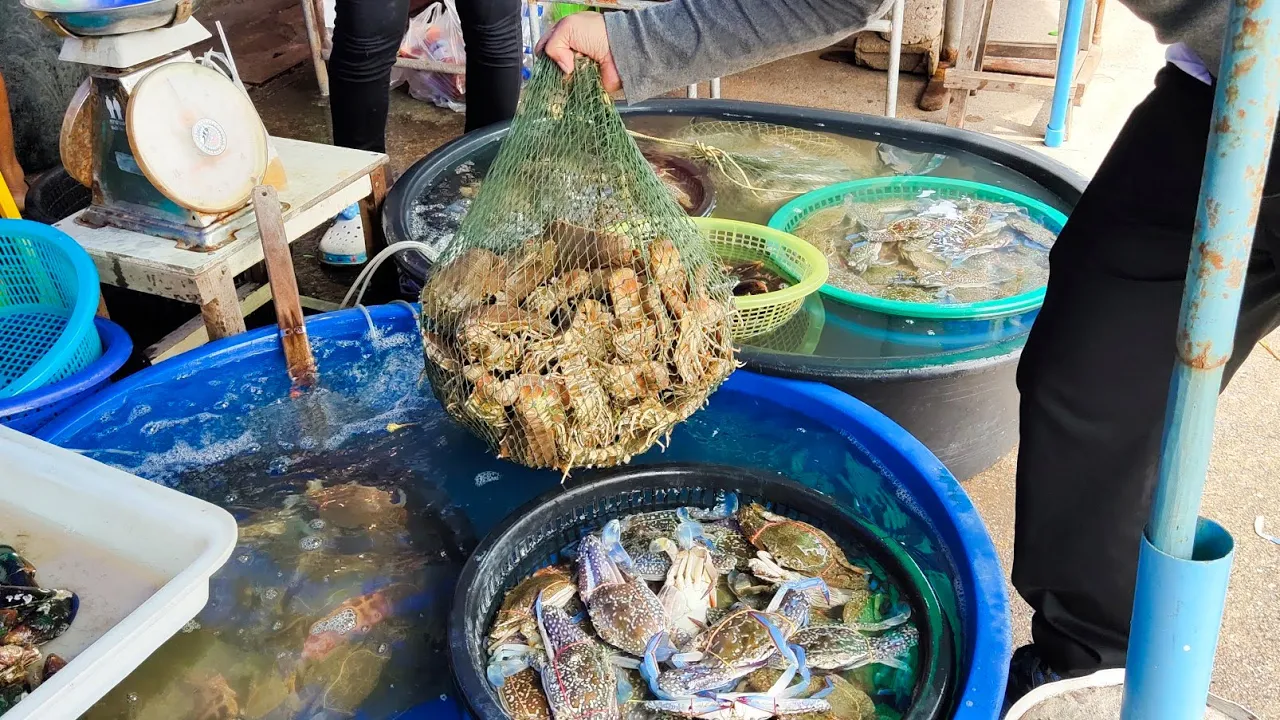 ผ่านหัวหิน เที่ยวหัวหิน จุดรับประทานซีฟู้ดแบบสดใหม่ราคาที่รับได้ ก็ต้องขับรถล่องใต้เลียบทะเลไปที่เขา. 