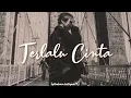 Download Lagu Taehyung (방탄소년단) - Terlalu Cinta FMV
