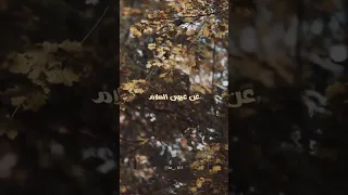 العمر يمضي ولا متابعه ولايك واكسبلور اكسبلور السعوديه تصميمي لايك 