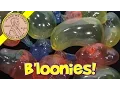 B Loonies 4-Pack and Big B Loonies Blow Up Plastic Balloons Ja-Ru Toys