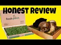 Fresh Patch Honest Review