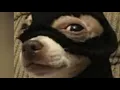 Pierre Bourne FX Kit pt 2