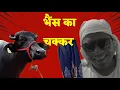 Download Lagu भैंस का चक्कर Episode-4 || ARD HARYANVI FILMS || Haryanvi Comedy web series
