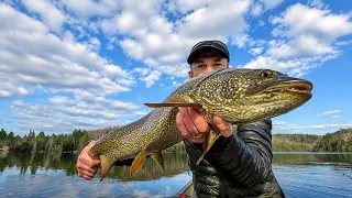 Canoe Camping in a Blizzard with my Dog and Catching a Huge Lake Trout!