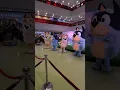 Meet and Greet with the whole Heeler family! #bluey #blueybingo #blueytoys