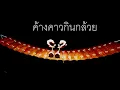 ค้างคาวกินกล้วย ระนาดเอก
