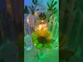 Download Lagu High \u0026 Crazy Ex Not Allowed 🚫Back in Ur 🧘Zen🪷Energy U to Busy Being the LIGHT in this World 🌎 🌍🌏❤️🪽