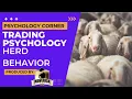 Trading Psychology Corner - Herd Behavior
