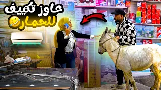 دخلت بحمار محل تكييفات وقولت لصاحبه المكان عاوز أشتريله تكييف مش هتصدقوا حصل اي 