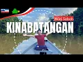 Download Lagu 🦧 Kinabatangan : WILD SABAH, the Amazon of Malaysia