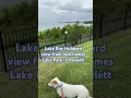 Download Lagu Lake Park new homes POV of Lake Ray Hubbard near Dallas TX