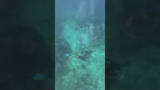 Snorkeling  7
