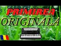 Download Lagu PRIMIREA CA LA NUNTA VARIANTA ORIGINALA