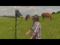 How to Install a Solar Fence Charger Electric Fence 101 Zareba
