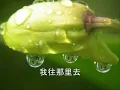 我找到自己 - 刘家昌