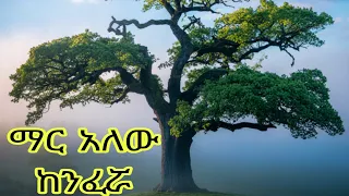 Mihret Tilahun ምህረት ጥላሁን Metahugn Bezina አድስ ዘፈን New Muzic 