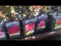 Rose plants-12 99 at lowes