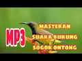 Lagu masteran suara burung sogok ontong mp3
