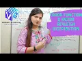 L 28 Error Function Complimentary Error Function Q Factor Rayleigh Distribution Noise