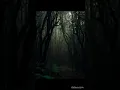 Download Lagu Jungle sounds