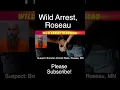 Wild Arrest In Roseau