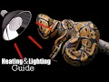 Ball Python Guide