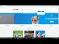 Petco Website Usability Testing