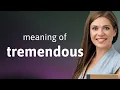 Tremendous meaning of TREMENDOUS