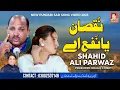 Lagu Nuqsan Ya Nafa | Punjabi Song 2023 | Shahid Ali Parwaz