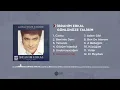 İbrahim Erkal - Erzurum'a Gel (Official Audio)