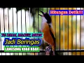 Download Lagu GAK BUTUH WAKTU LAMA CENDET MACET, DIAM, MIYIK JADI BERINGAS KOAR KOAR, PANCINGAN CENDET FULL ISIAN
