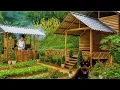Download Lagu CEO verlaat de stad om vredig te leven in een houten huis met groenten en bloemen
