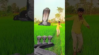 Jay Radhe Jay Krishna Haei Bol Harqhara Shmbhu 