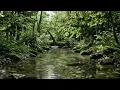 Maulana Ardiansyah ft. Ajeng Febria - Siapa Merebut Seri Cinta (siapa di hatimu) 🎵
