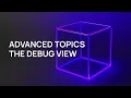 Advanced Topics - The Debug View
