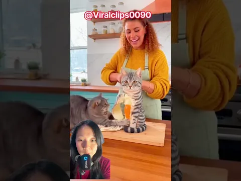 Kitty meong gak suka kuenya⁉️🥰😭@Viralclips0090