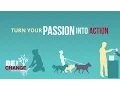 Turn Your Passion into Action