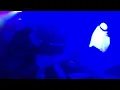 Zenobia on fire at Kabareet - Haifa | زنوبيا في كباريت حيفا - نار