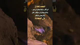 حالات واتساب كلمات حمد وشكر الى الله على نعمه  حالات واتساب كلمات حمد وشكر الى الله على نعمه